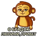 Обезьян || @PlushPepeMain