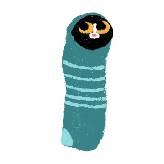 🧦