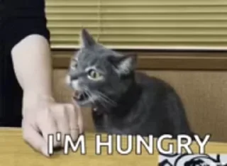 🍽