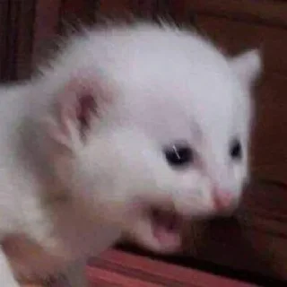 😢