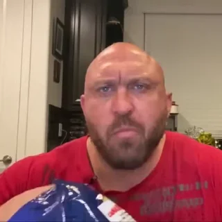 🍟