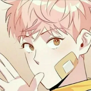 ✨