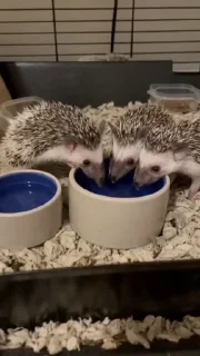😋