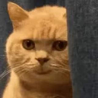 😈