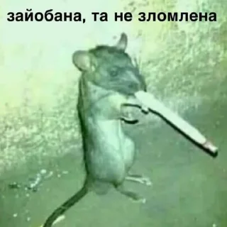 🚬