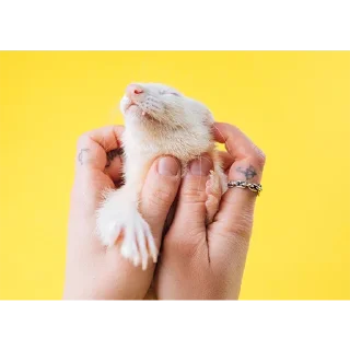 🤲