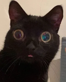 😳