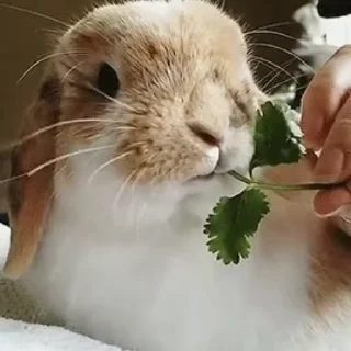 🧍‍♀️