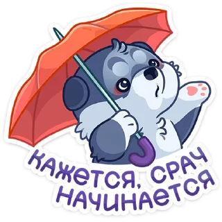 ☔️