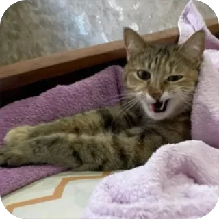 😉