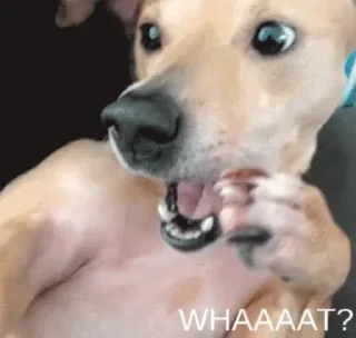 😮