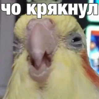 🤨