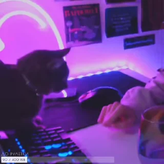 👊