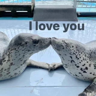 ❣️