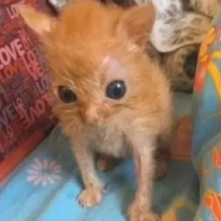 ☹️