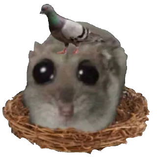 🕊