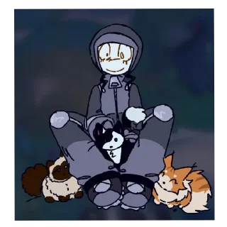 🐱