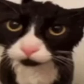 😐