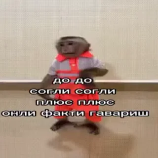 🐵