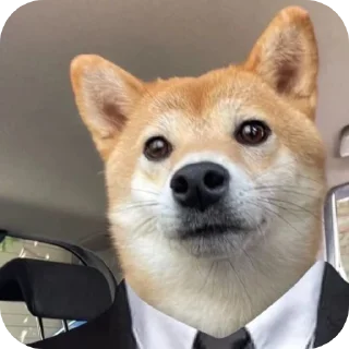 🐶