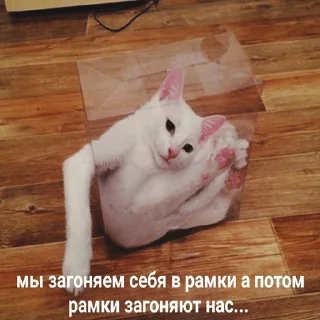 🤔