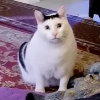 😐
