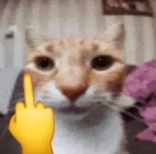 🖕