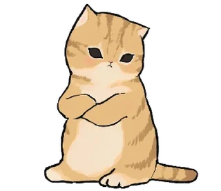 🐱
