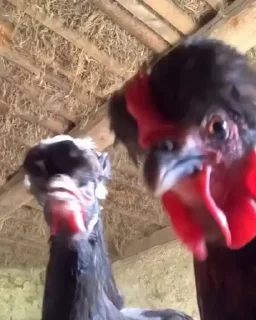 🕺