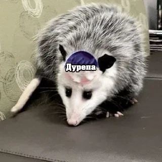 😵‍💫