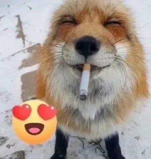 😍