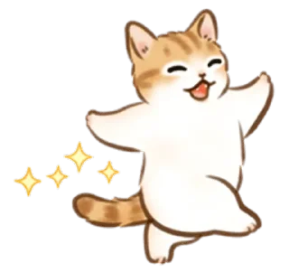 🐱