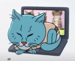 🐈