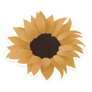 🌻