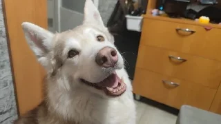 🌟
