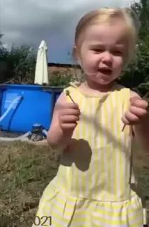 🌼