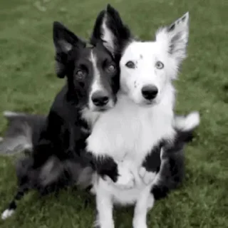 🙂