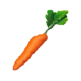 🥕