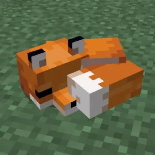 🦊