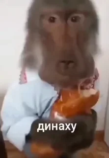 🙈