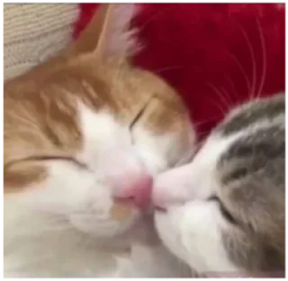 ❤️
