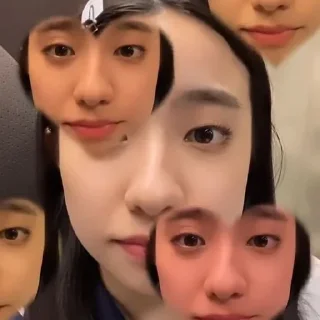 🐪