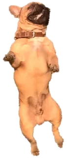 🕺