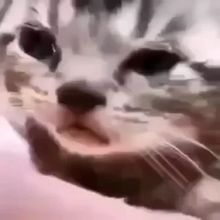 😭