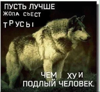 🐺