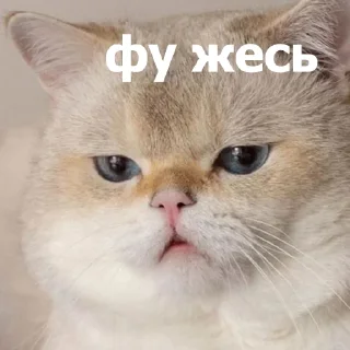 🫤
