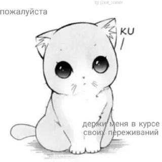 💞