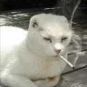 🚬