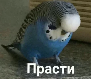 🥺