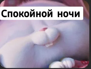 😴